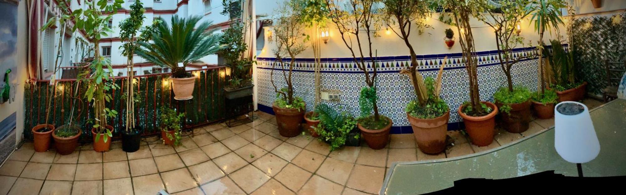 Maravilloso Apartamento Centrico De 70M2, Jardin Propio 40M2 Con Piscina Para Ninos Y Parking Opcional Малага Екстериор снимка